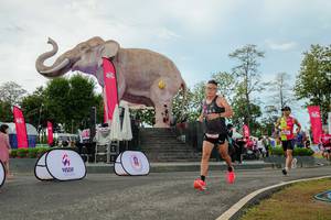 BIB: 
                            <button type="button" onclick="openModal(26529026)" class="btn btn-primary btn-sm float-right btn-popup" data-toggle="modal" data-target=".modal-high-quality">
                        <i class="fas fa-shopping-cart"></i> Add to Cart
                    </button>
                                            <button type="button" onclick="isThisMe(26529026, true)" class="btn btn-success btn-sm float-right btn-popup btn-isme hidden" data-toggle="tooltip" data-placement="bottom" title="นี่คือรูปของคุณใช่ไหม คลิกที่นี่เพื่อเอาเข้าอัลบั้ม">
                        <i class="fas fa-plus"></i> Add to album
                    </button>
                    <button type="button" onclick="isThisMe(26529026, false)" class="btn btn-warning btn-sm float-right btn-popup btn-isnotme hidden">
                        <i class="fas fa-ban"></i> Remove from album
                    </button>